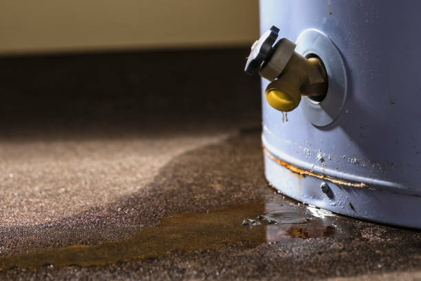 Best Water damage cleanup near me  in Grand Meadow, MN