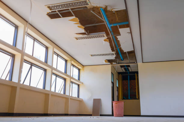 Best 24/7 water damage repair  in Grand Meadow, MN