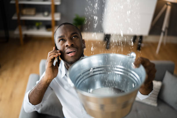 Best Basement water damage restoration  in Grand Meadow, MN
