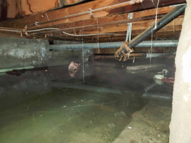 Best Commercial water damage restoration  in Grand Meadow, MN