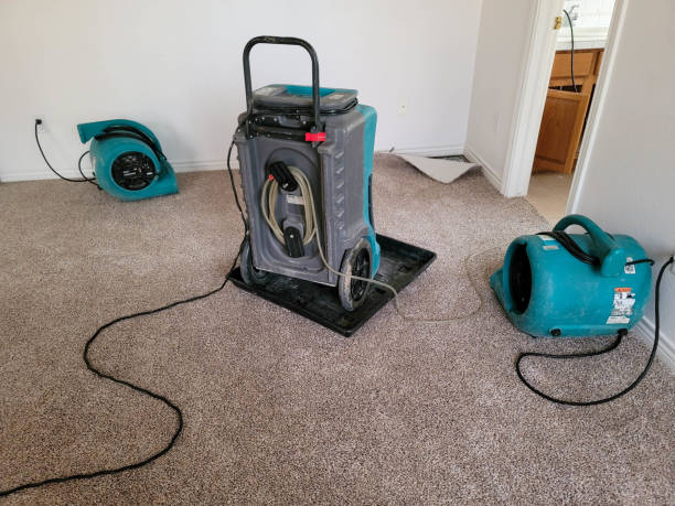 Best Water damage repair service  in Grand Meadow, MN