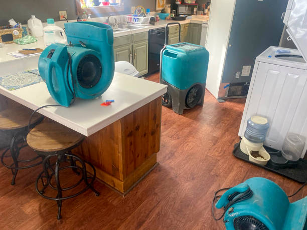 Best Flood damage cleanup  in Grand Meadow, MN