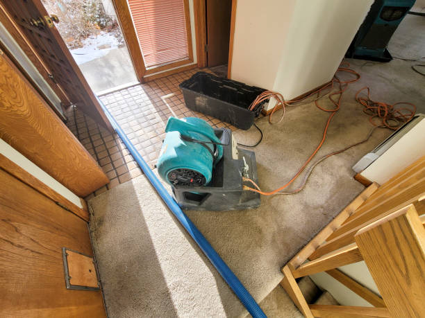 Best Water damage restoration near me  in Grand Meadow, MN