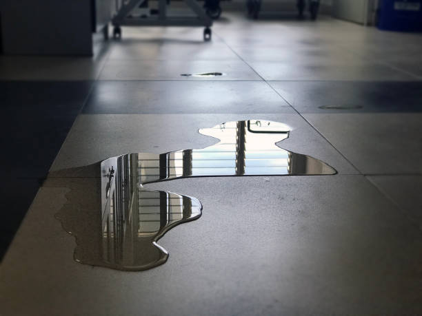 Best 24-hour water damage restoration  in Grand Meadow, MN