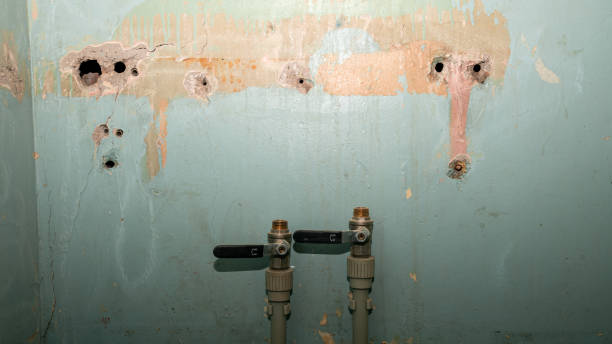 Best Flood restoration services  in Grand Meadow, MN
