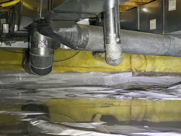 Best Sewage cleanup and water damage restoration  in Grand Meadow, MN