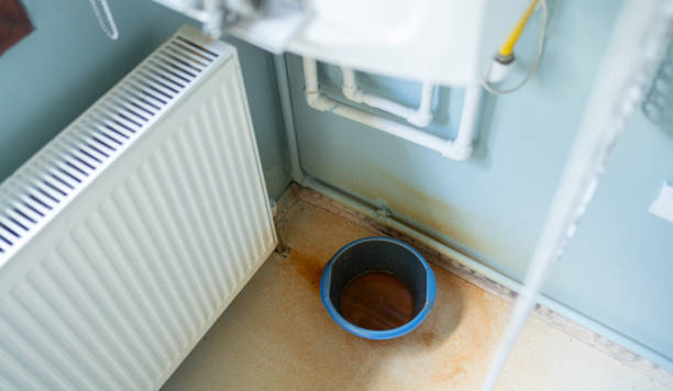 Best Local water damage restoration  in Grand Meadow, MN