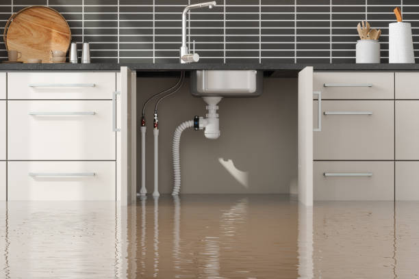 Best Carpet water damage restoration  in Grand Meadow, MN