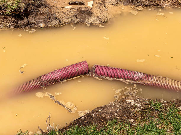  Grand Meadow, MN Water damage restoration Pros