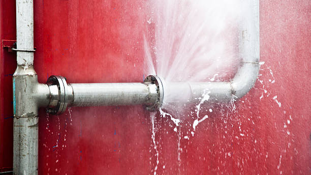Best Water damage restoration near me  in Grand Meadow, MN