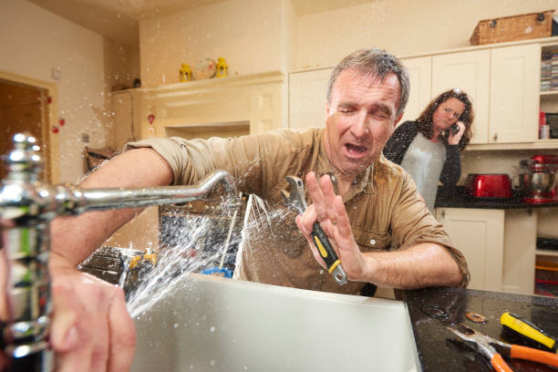 Best Fire Damage Restoration  in Grand Meadow, MN